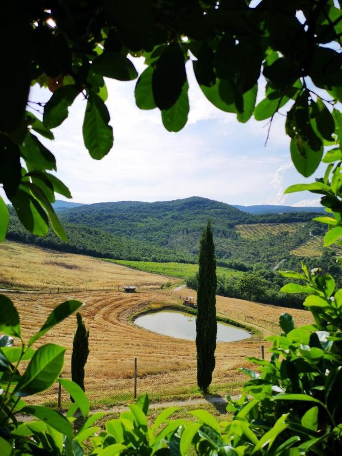 Selvella Farm stay *